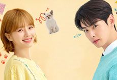 ザ・ミッドナイトスタジオ韓国語 映像翻訳